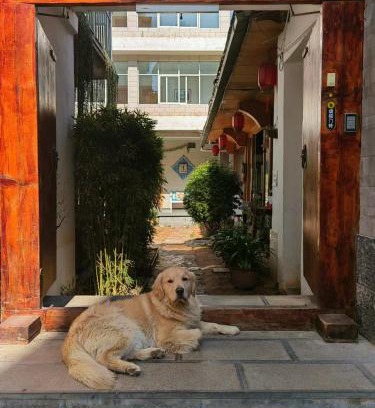 Gucheng House | Lijiang Adventure Inn