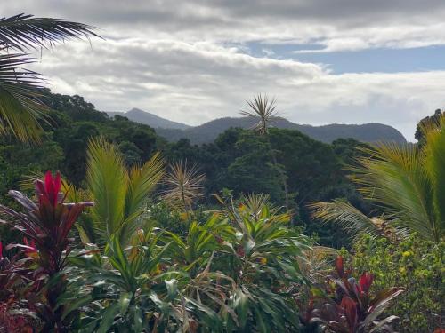 Speewah House | Lilah Blue-Entire Home Rustic Rainforest Private