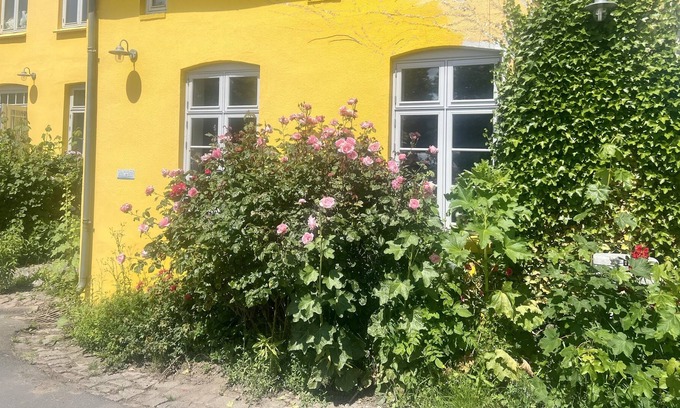 Loose Hotel | Lindenhof ChezArtistes