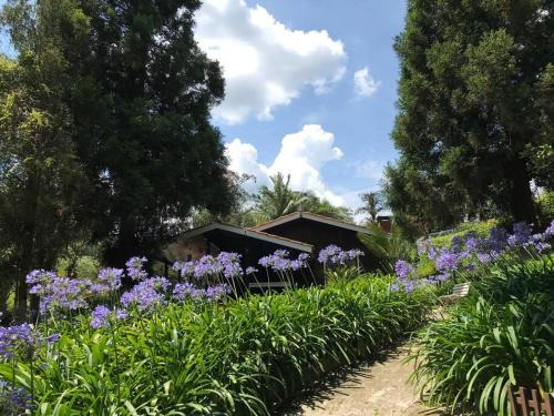 Sao Roque House | Lindo e aconchegante chalé com piscina, lareira e churrasqueira