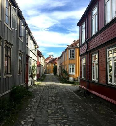 Trondheim City Centre Apartment | Lite studioleilighet meget sentralt i sentrum, 3 minutter fra torget