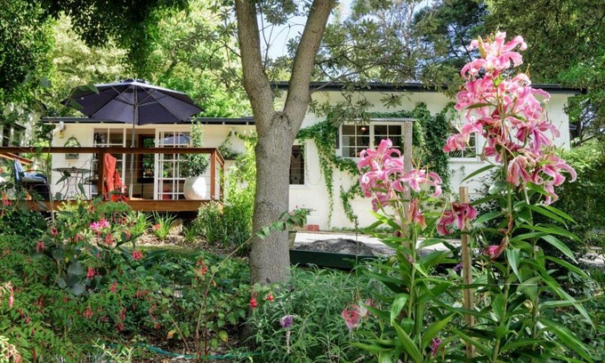Tecoma House | Little Violet