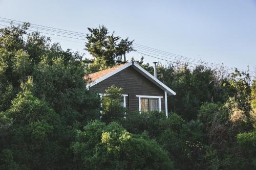 Michmanim Cabin | Live in the woods