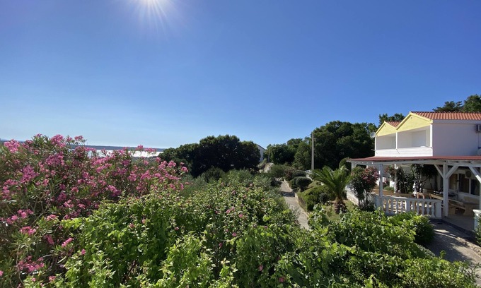 Rtina Resort | Living in the olive grove with a sea view