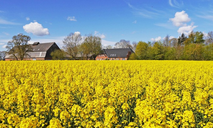 Neudorf-Bornstein Apartment | Living on an old estate 2.5 km from the Baltic Sea
