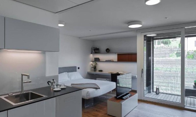 Stabio Apartment | Lo Scudo di Stabio - 35 m² vineyard view LST