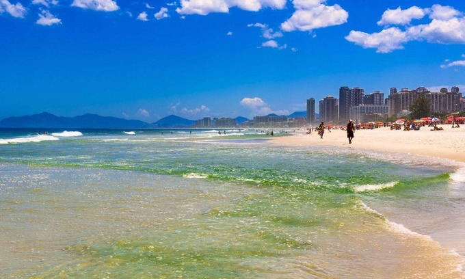 Barra da Tijuca Apartment | Local 102 Apartment