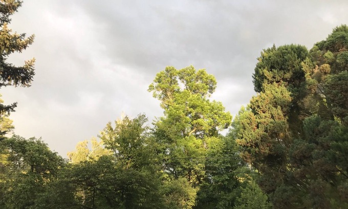 Burg Apartment | Located directly on the vegetable courtyard on the beautiful main Spree