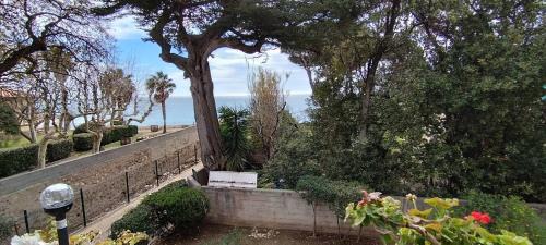 Les Sablettes Apartment | Location saisonnière logement les pieds dans l’eau