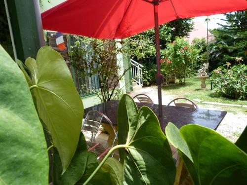 Kourou House | Lodge Takini 4