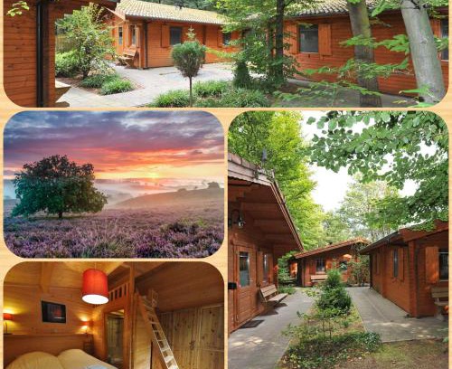 Dieren Cabin | Lodges Veluwse Poort