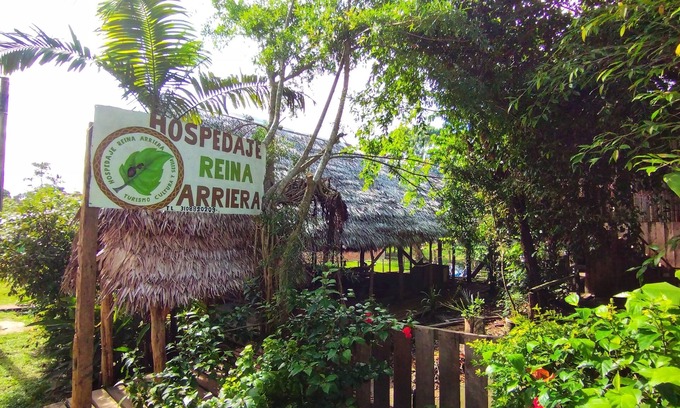 Leticia Cottage | Lodging and tours queen arriera Amazonas Colombia