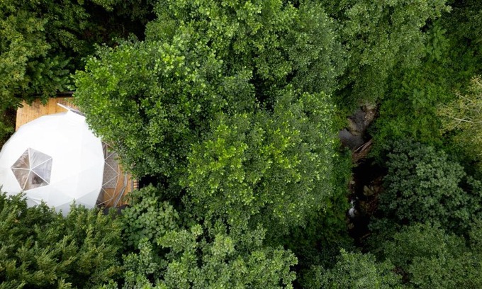 Adjara Hotel | Loft inn