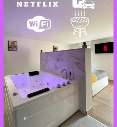 Bressuire Apartment | LOFT Jardin et Spa