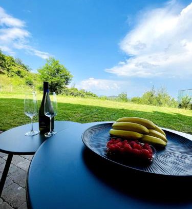 Brasov Apartment | Loft with garden city view and garage