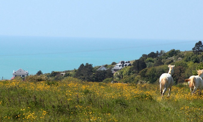 Dieppe House | LOGT 5 PEOPLE SEA VIEW. PONY AND TRAMPOLINE. LOCATED ALONG A GR. NATURE