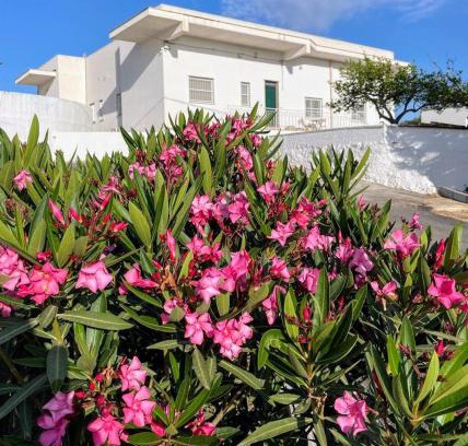 Vittoria House | Loredana Affittacamere