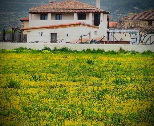 Torremocha de Jarama Apartment | Los Diezmos