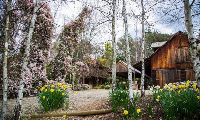 Tawonga South House | Lothlorien