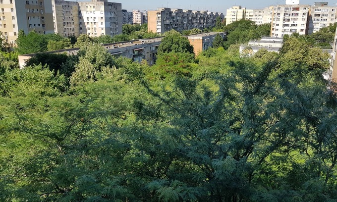 Drumul Taberei Apartment | Lots of greenery, quiet and fresh air.