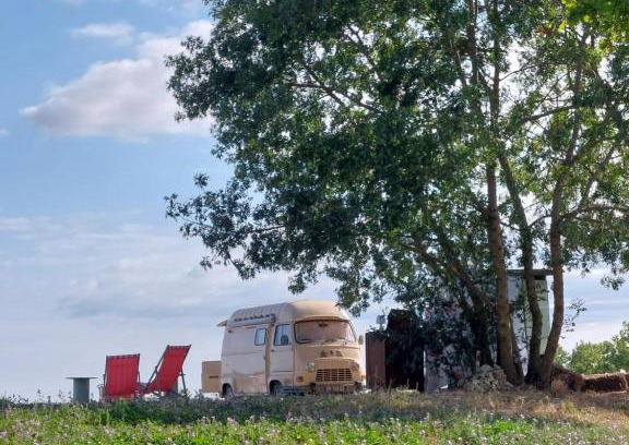 Condom House | LOV' ESTAFETTE
