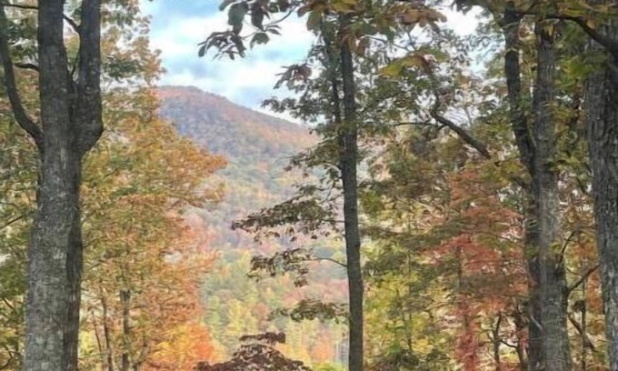 Blairsville Apartment | Lovely 1-bedroom, 1100 sqft apartment, patio in forest, beautiful Blue Ridges