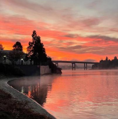 Bremerton Apartment | Lovely 1 bedroom condo on the Narrows