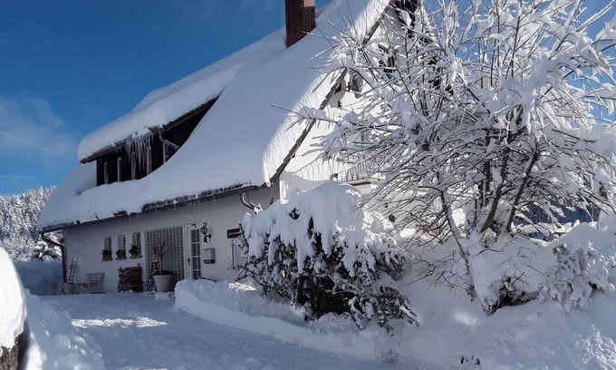 Eisenbach Apartment | Lovely furnished apartment within minutes of forest, ski lift