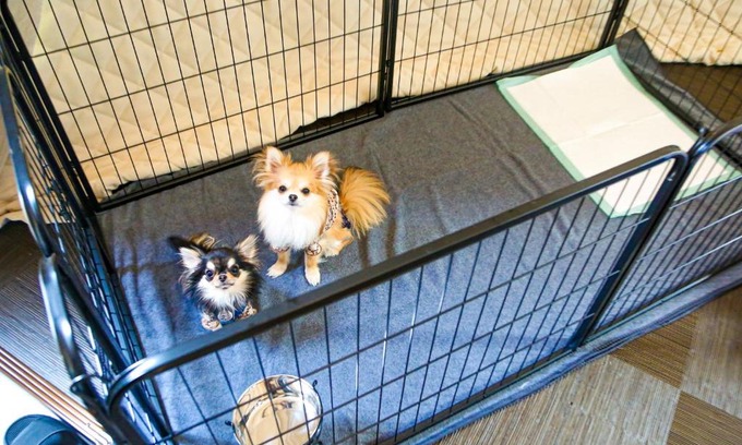 Eiheiji-cho Hotel | Lupo Forest "GRAN FOREST Echizen Miyama" - Vacation STAY 07123v