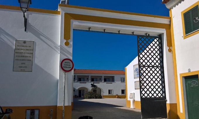 Golega House | Lusitanus
