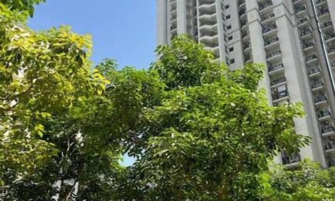 New Delhi Apartment | Luxury Studio Apt in Dlf Capital Greens West Delhi