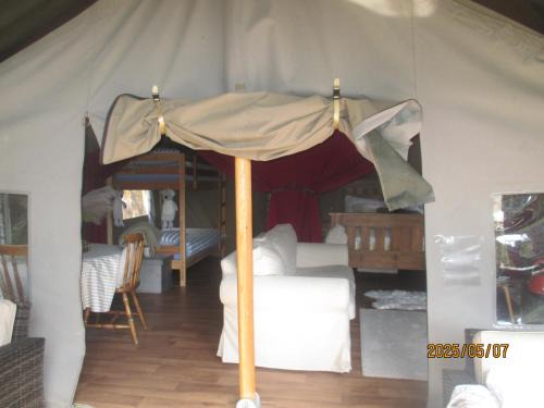 Killarney Other | Luxury tree top glamping safari tent
