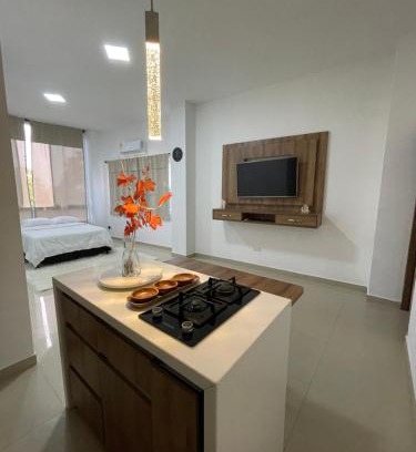 Bucaramanga Apartment | Luxury85 Blue