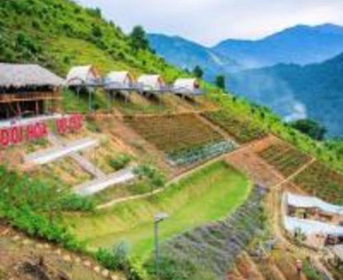 Tram Tau Villa | Mây Homestay - Venuestay