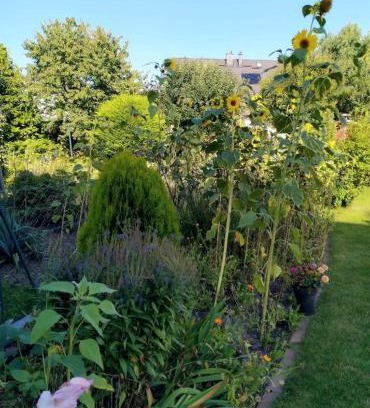 Germete Apartment | Müler-Luxus-Wohnung