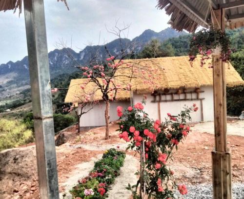 Moc Chau House | Mường sang farmstay