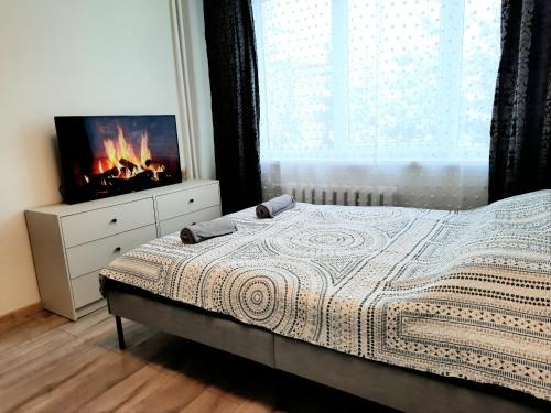 Panevezys Apartment | M&M Apartment VI Self CHECK-IN