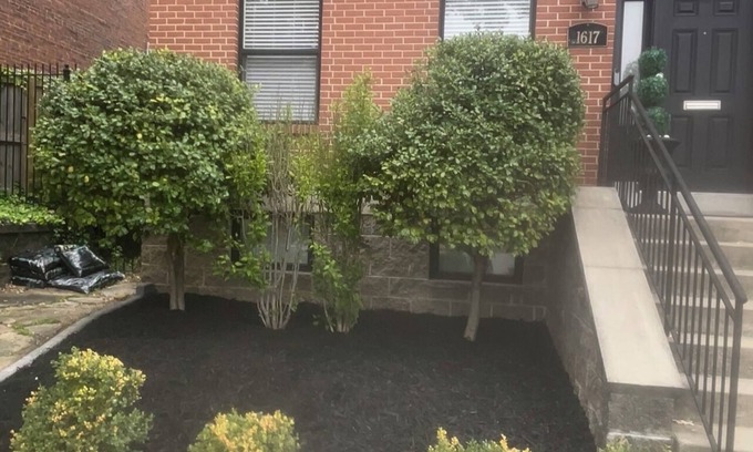 Near Southside House | Ma Maison Soulard PRIME Location!