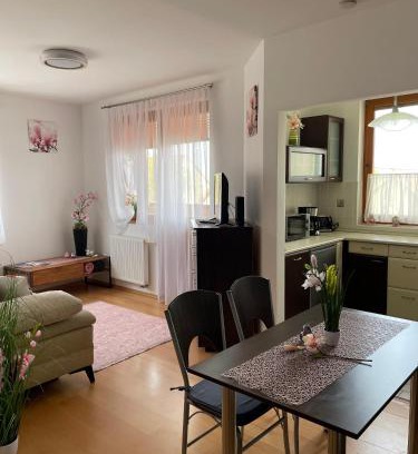 Hegyko Apartment | Magnólia Apartmam