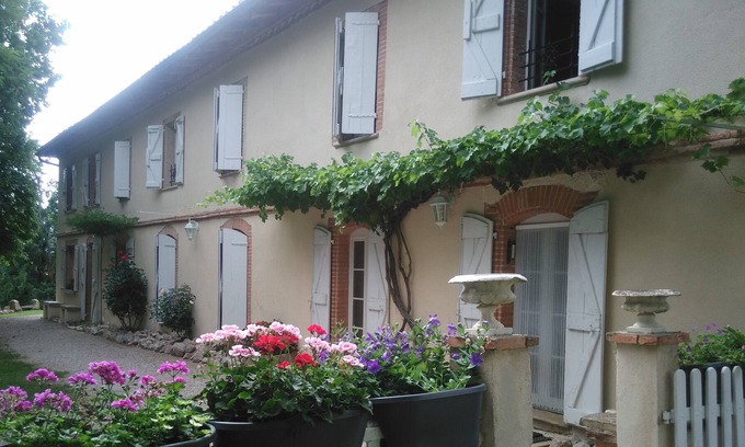 Salvagnac Other | Magnificent 18th century farmhouse - quality services - wellness area