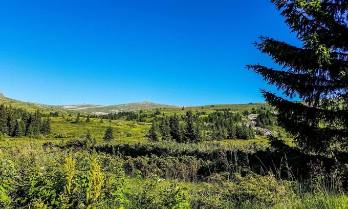 Vitosha District Apartment | Magnificent Studio With Stunning Views Of Vitosha