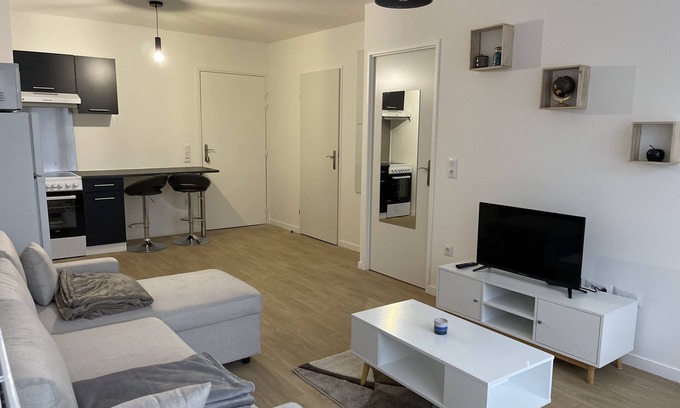 Le Blanc-Mesnil Apartment | Magnifique F2 Proche Aéroport Cdgjo 2024orlyparisdisneylandparc Astérix