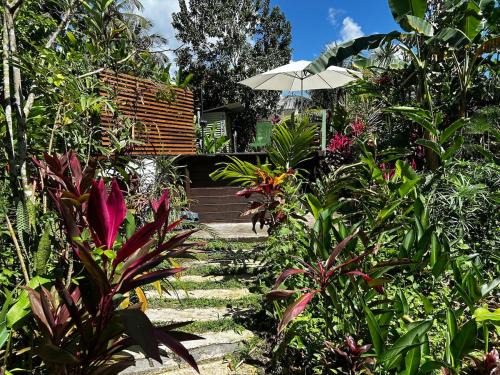 Lamentin House | Magnifique gite