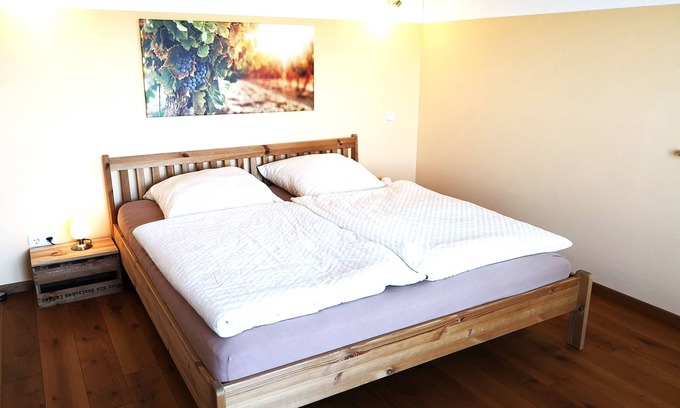 Kitzingen Apartment | Main vacation in the vineyard