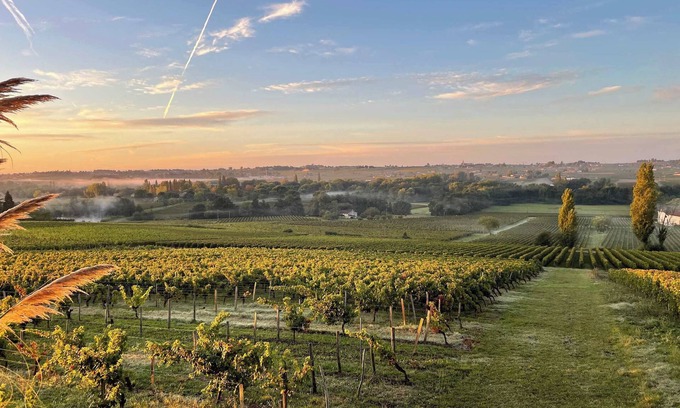 Montagne House | Maison de caractère au cœur des vignes