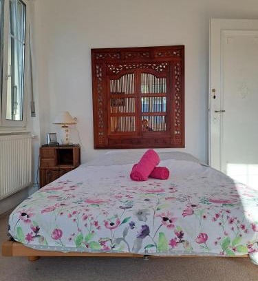 Haguenau House | Maison de ville 1933