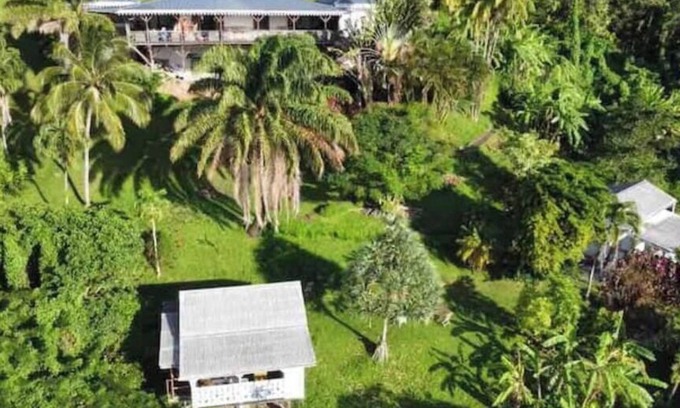 Fonds Saint Denis House | Maison en Bois en Pleine Nature