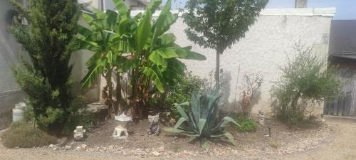 Tournon-Saint-Martin House | maison grand parking privé