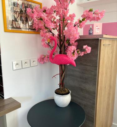 Tille House | maison pink flamingo aeroport tillé 2 a 4 personnes