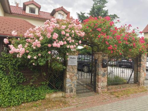 Rowy Apartment | Majka Apartamenty Studia Pokoje